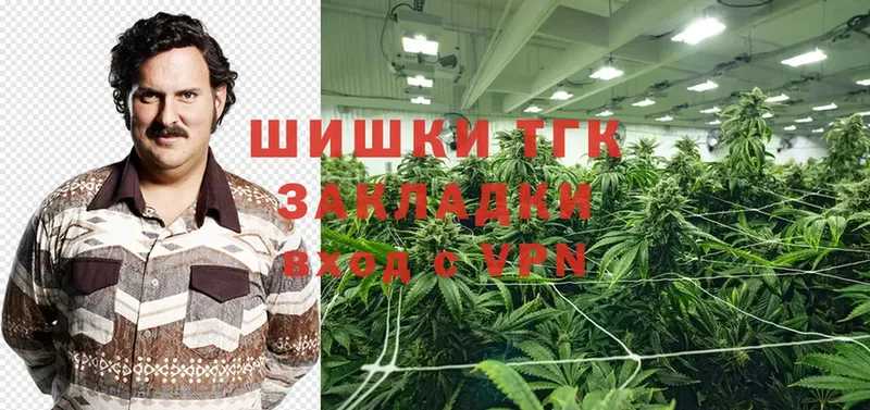 Канабис THC 21%  Мичуринск 